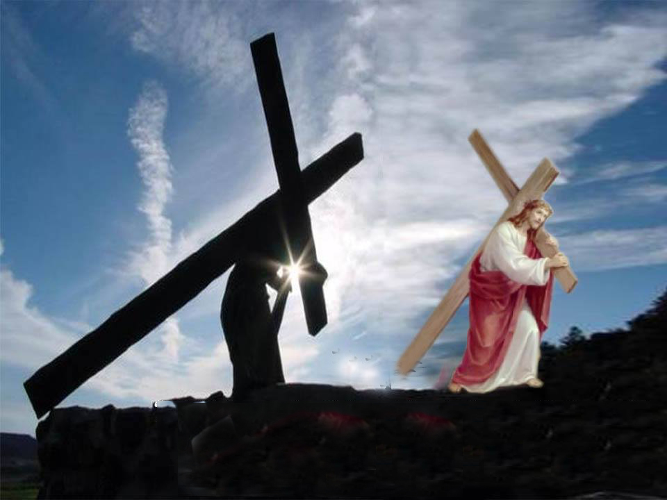 Học hỏi Phúc Âm lễ kính các Thánh Tử đạo Việt Nam